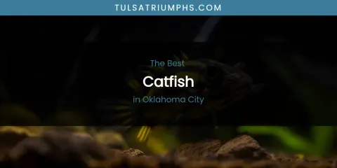 Oklahoma City's Best Catfish