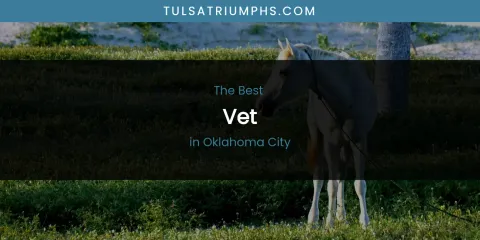 Oklahoma City's Best Vet