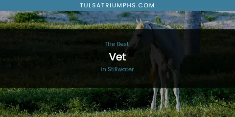 Stillwater's Best Vet