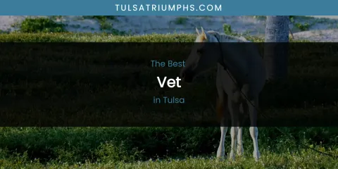 Tulsa's Best Vet